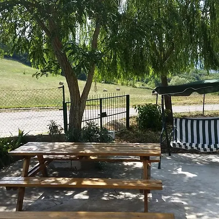 Dal Biondo * Dogliola