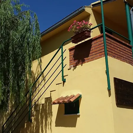 Dal Biondo *
