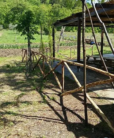Dal Biondo *